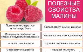 Малиновое варенье при температуре и простуде: помогает ли, чем полезно