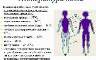 Почему держится высокая температура? 13 причин для беспокойства