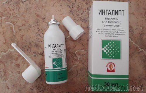 Ингалипт в форме спрея