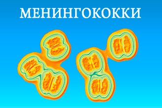 Менингококковые микробы