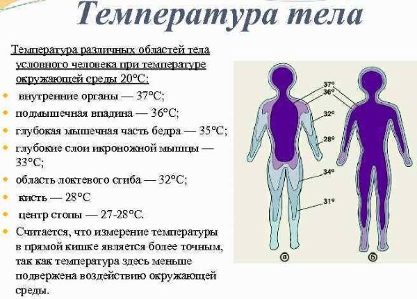 Температура тела 36 у взрослого человека. Причины, нормально или нет, что делать